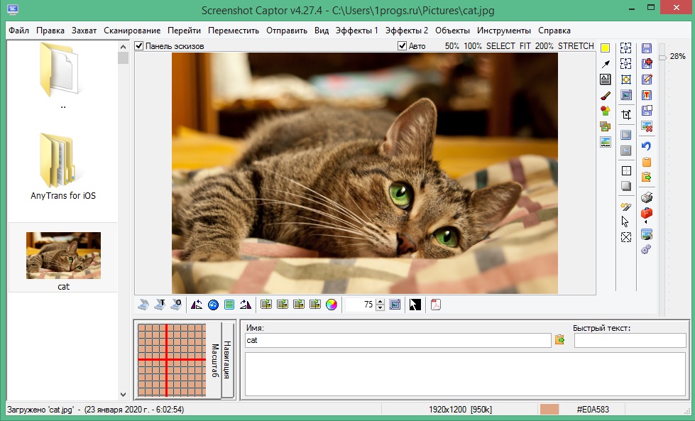 Screenshot Captor 4.41