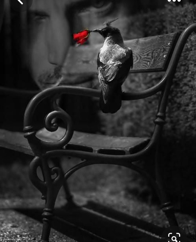 Screenshot_20230702_182504_Pinterest