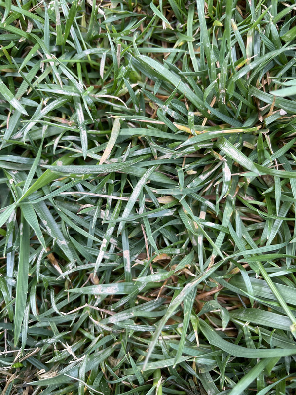 16F942ED-7435-415B-8A18-A42923D96A6B