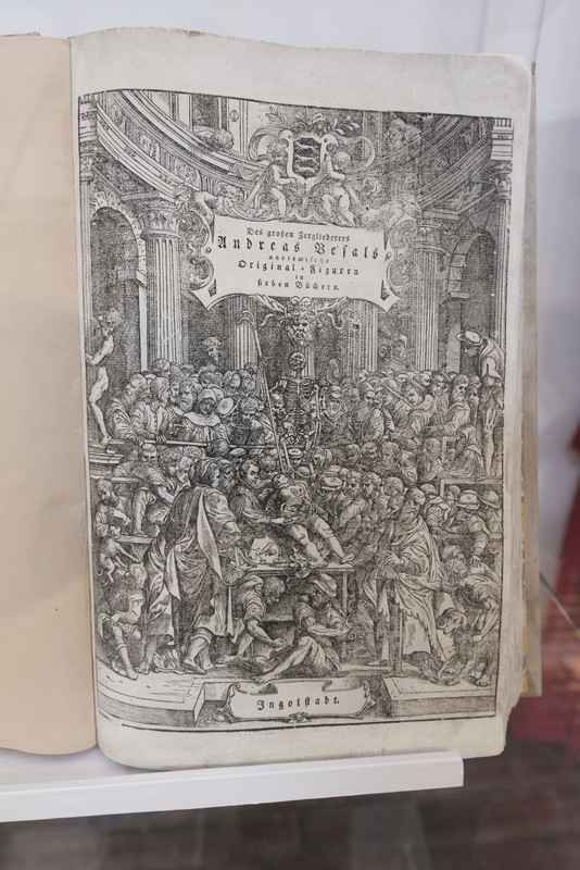 16.21 - NEW_9170 (Konfiturek)