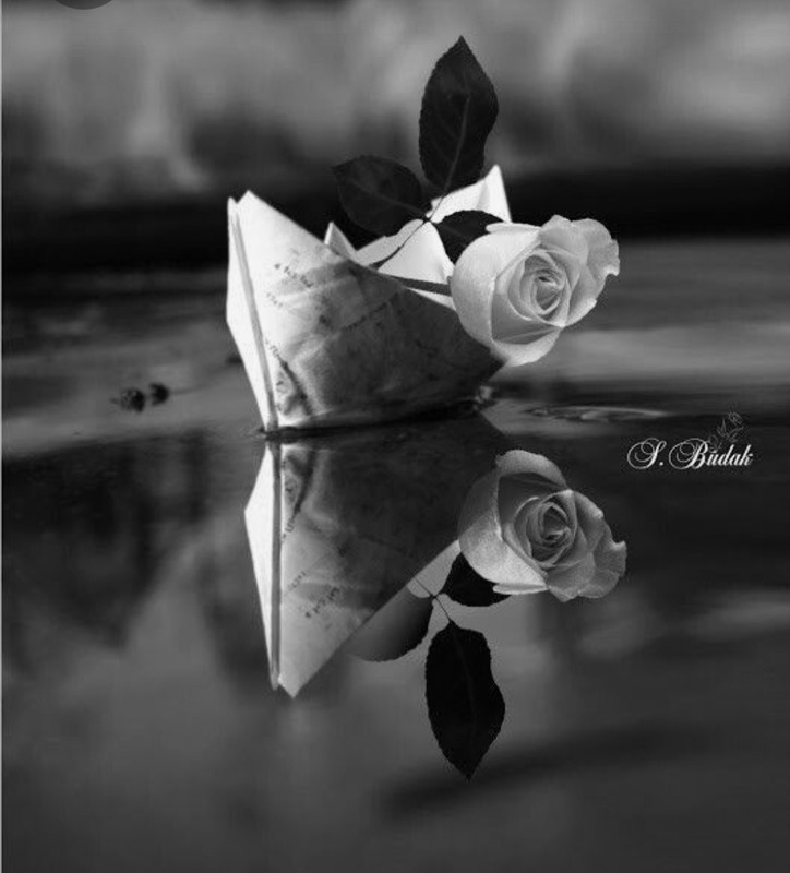 Screenshot_20230329_231302_Pinterest