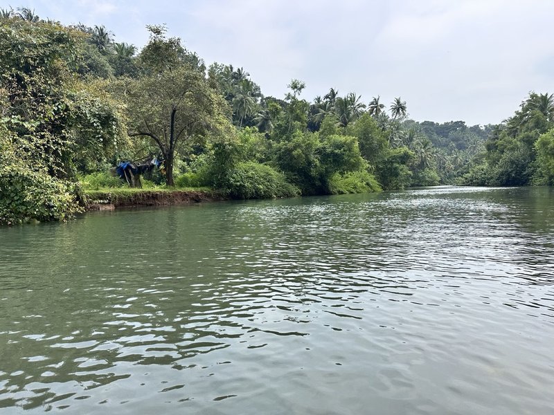 Arabian Sea