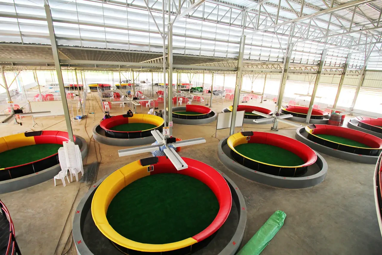 บรรยากาศหน้าเวทีและถ้วยรางวัล สนามกีฬาชนไก่นานาชาติ เจ้าสัว