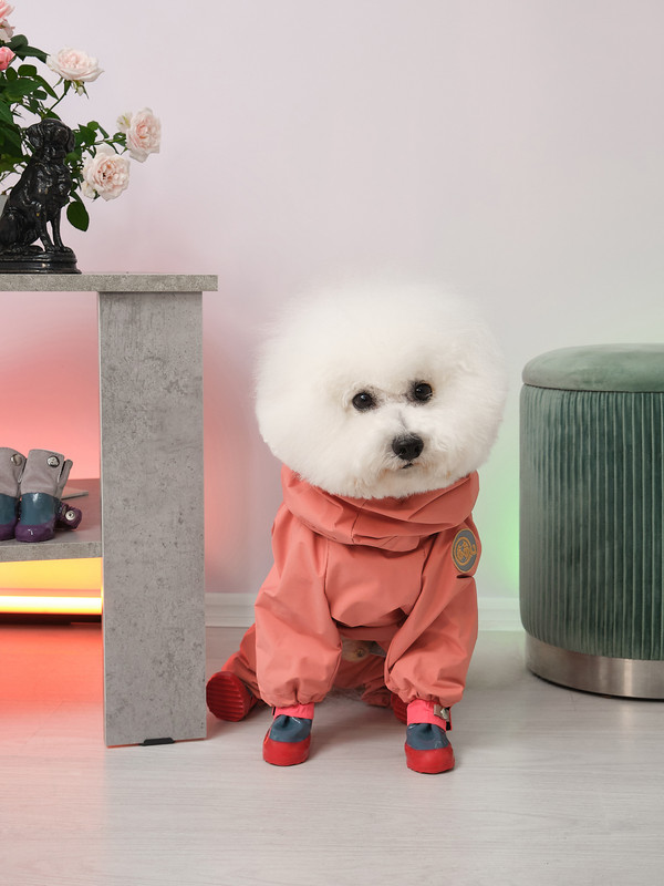 Собака в розовом комбинезоне