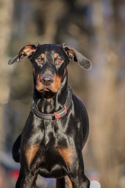 55C5E881-E292-4EBB-AB19-24F0CA19FCDD