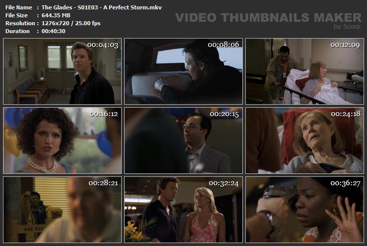 The Glades - S01E03 - A Perfect Storm.mkv