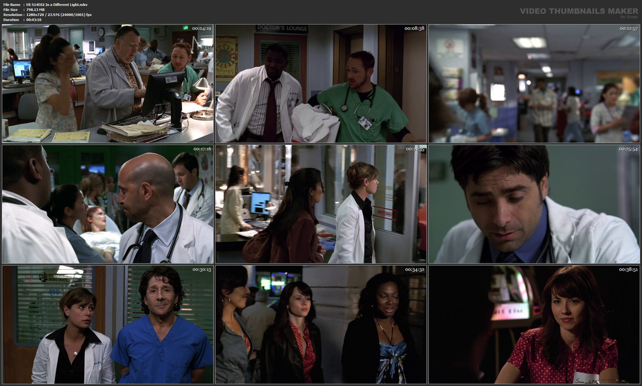 ER S14E02 In a Different Light.mkv