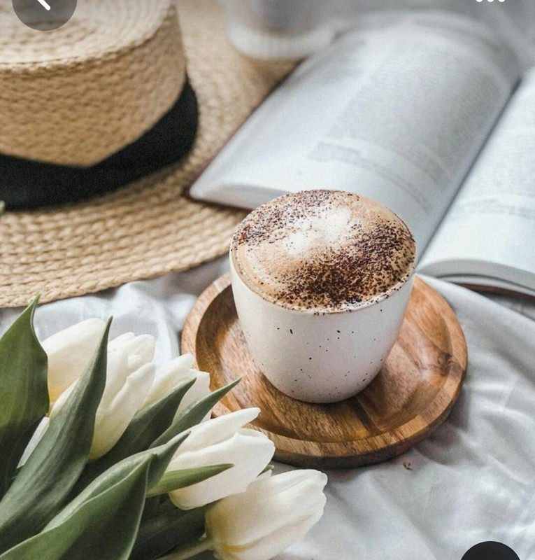 Screenshot_20240529_234631_Pinterest