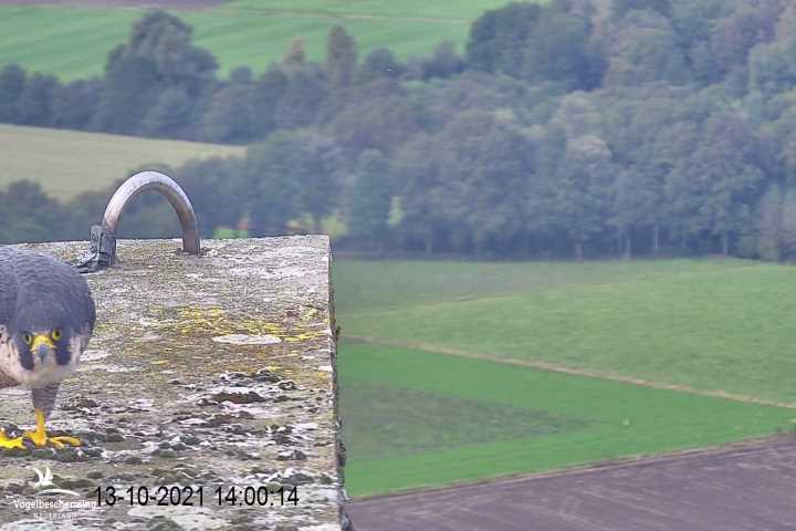 campics vanaf 1 juli © VWGGemert en bonusjes van ter plekke - Pagina 35 V6