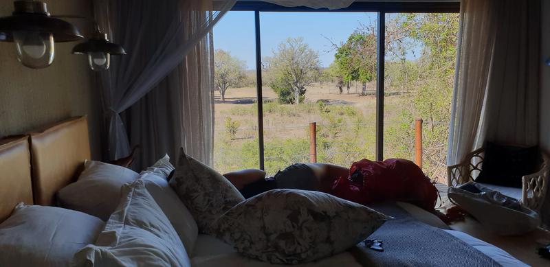 DÍA 11:  KRUGER (Lower Sabie)- SABI SAND (Elephant Plains Game Lodge) - Sudáfrica y Seychelles 2018 -  Una Honeymoon llena de vida (12)