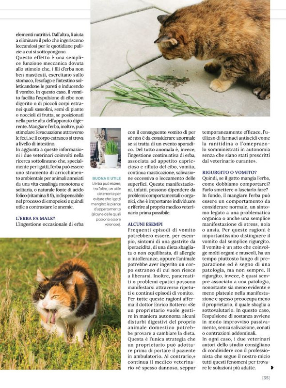 Ga Ma Feb-Mar 2022 (8)