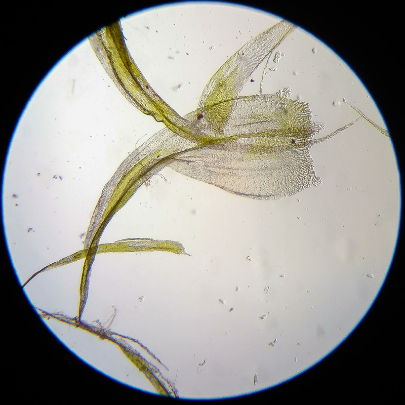 IMG 20250614 122509 HDR