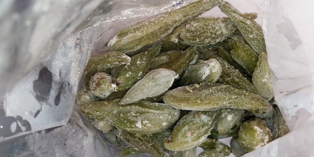 IMG_20230727_181145_693