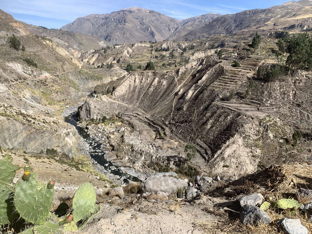 D3E5E7F5-B15A-499B-91ED-13BD6007F0B7