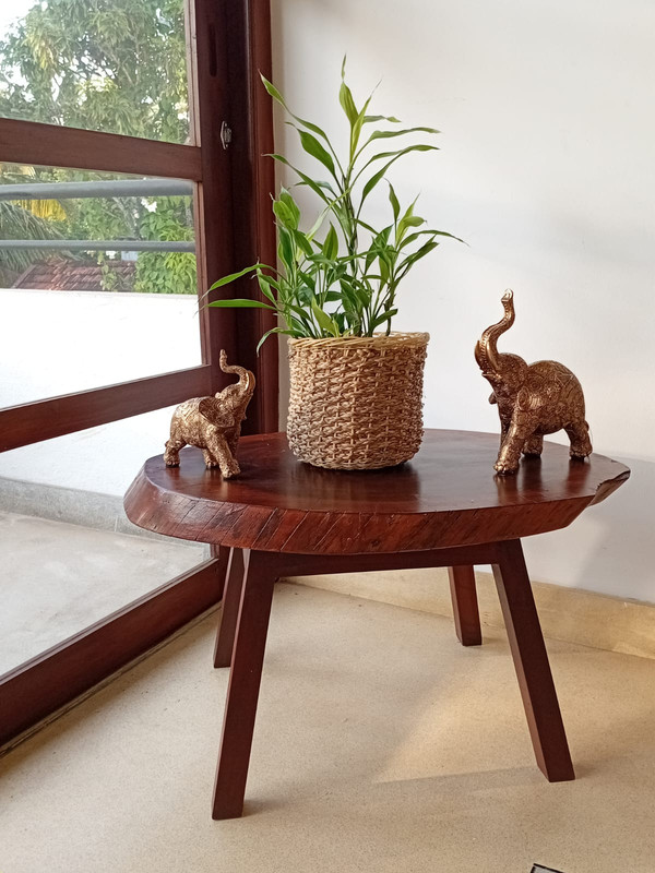 Brass elephant statues and plant on a wooden table