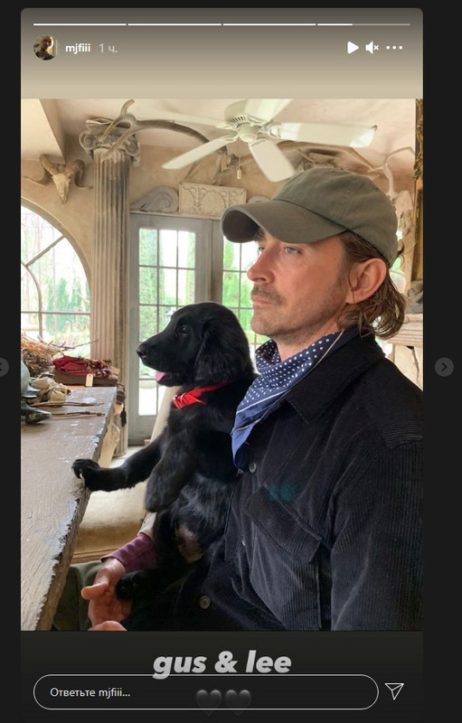 Сториз Метью от 25.03.2021_песик Гас