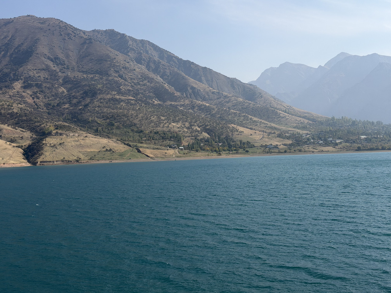 IMG-7773.jpg