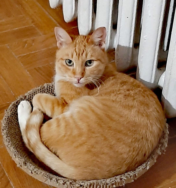 Изображение WhatsApp 2025-03-04 в 10.34.49_495e5798