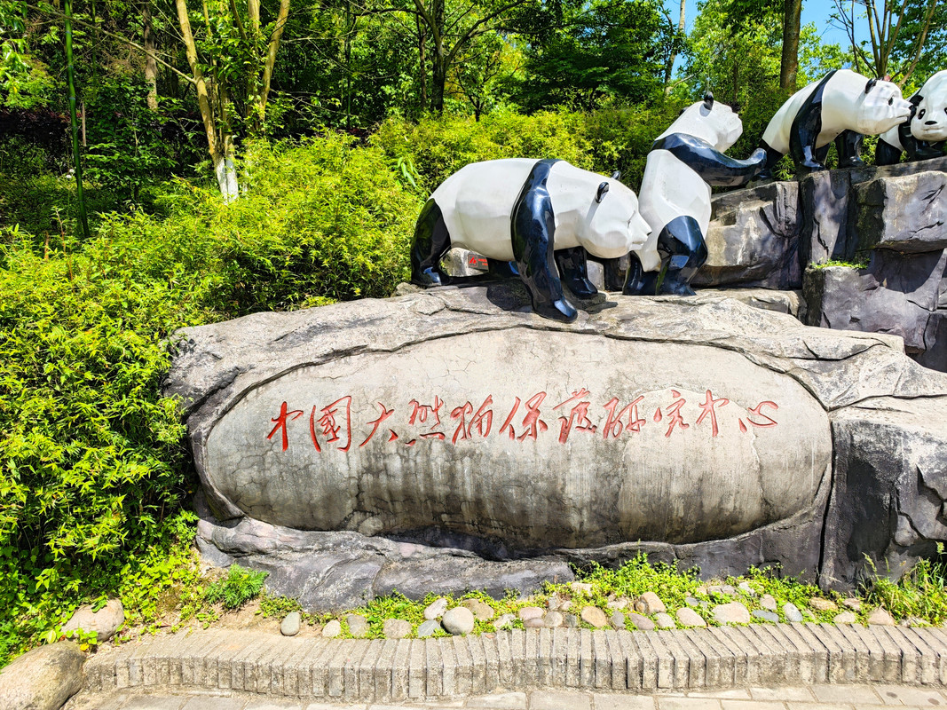 IMG_20230513_104058_副本