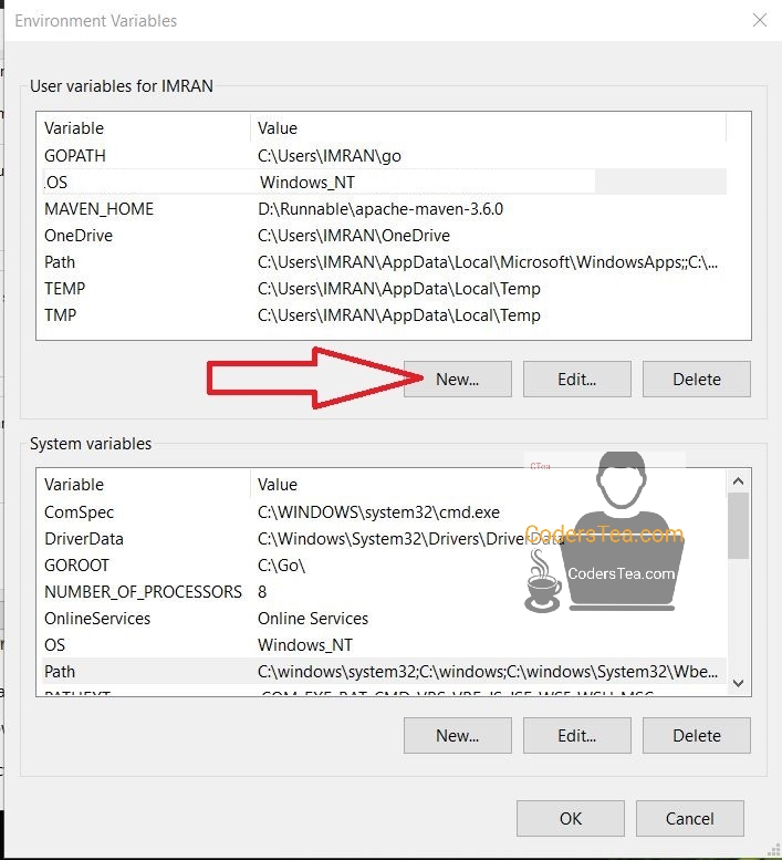 windows new env variable