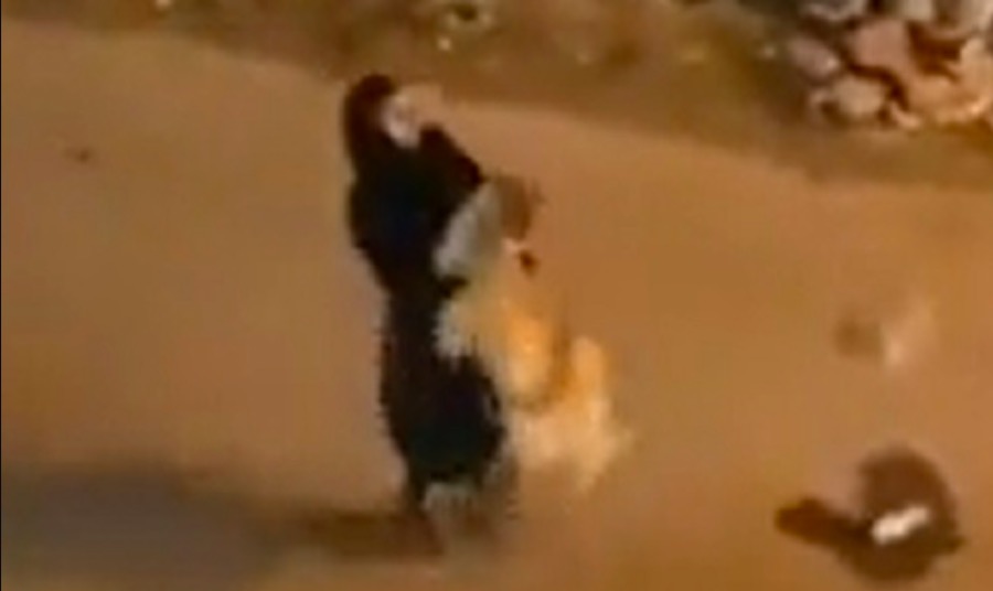 Captan a mujer cargando a un león caminando por las calles de Kuwait