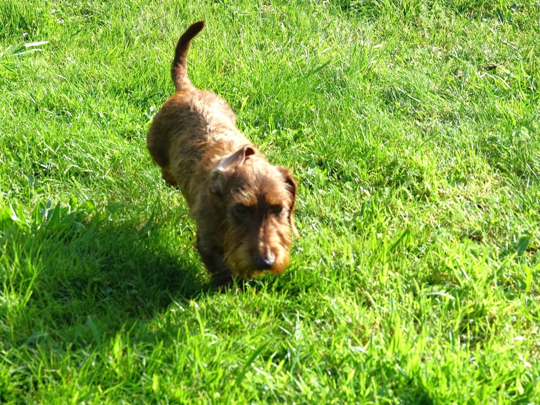 [Image: Od-on-3.jpg]