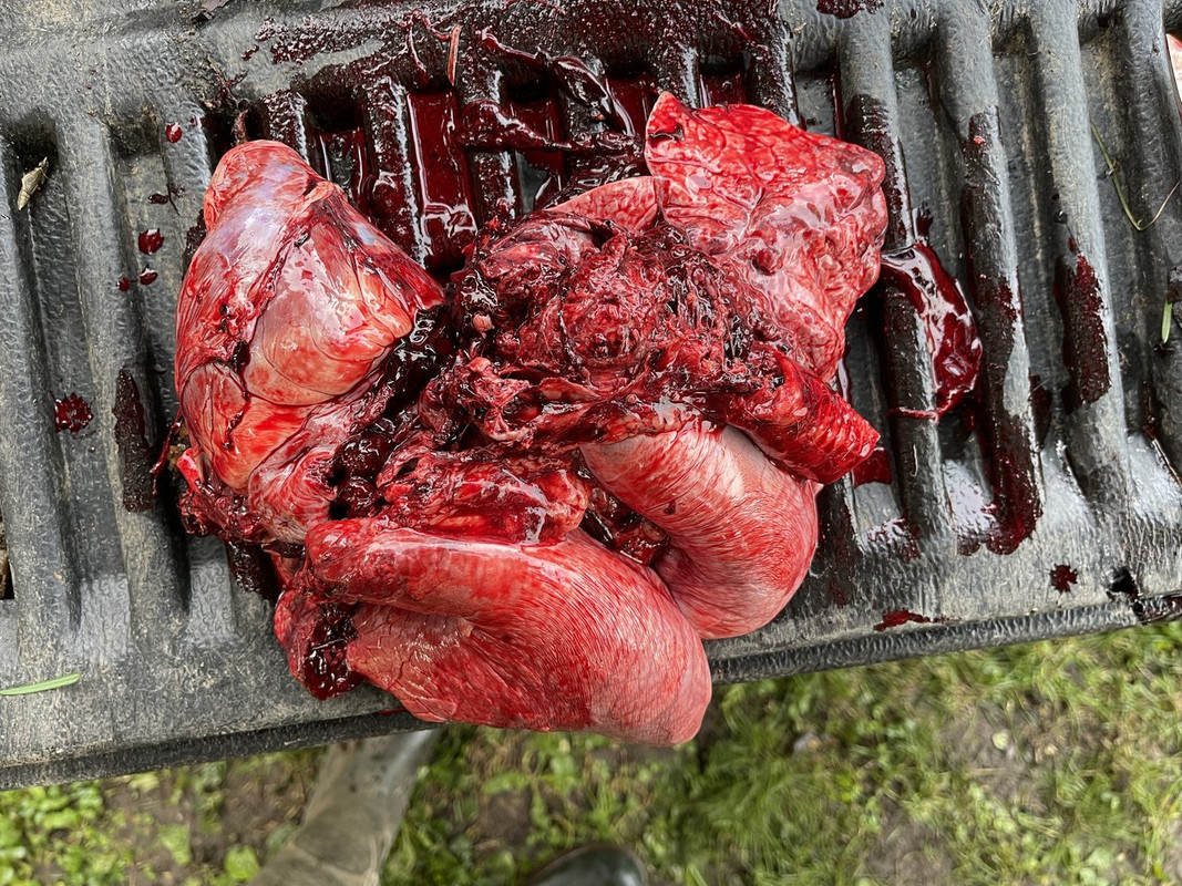 D30A5211-128C-449B-9F43-EE1BC7EB5069