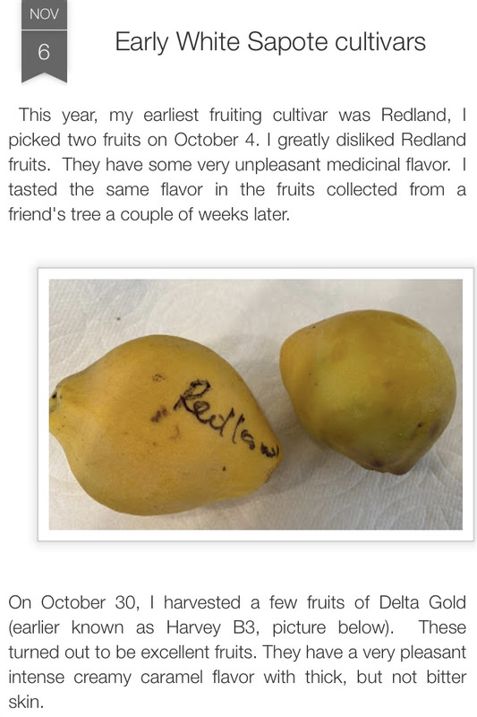 523EC00B-CD15-45C5-9270-9E700DD9D339