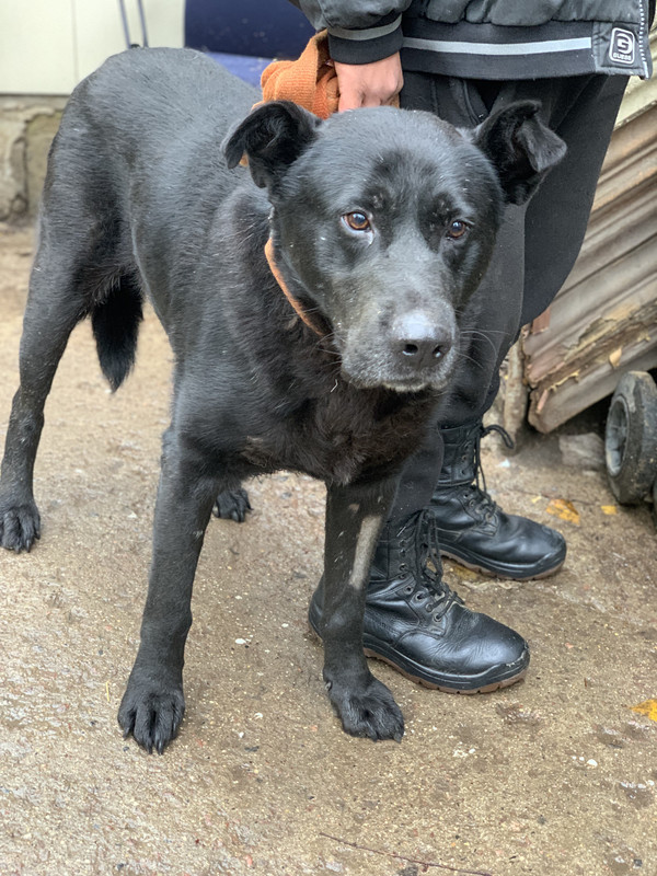 9F35534D-F484-48B9-BA25-1457AD7D783E