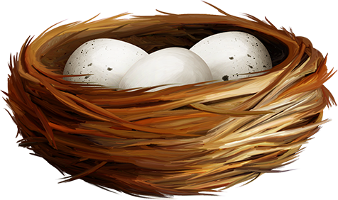 KBK_InTheSpring (70)