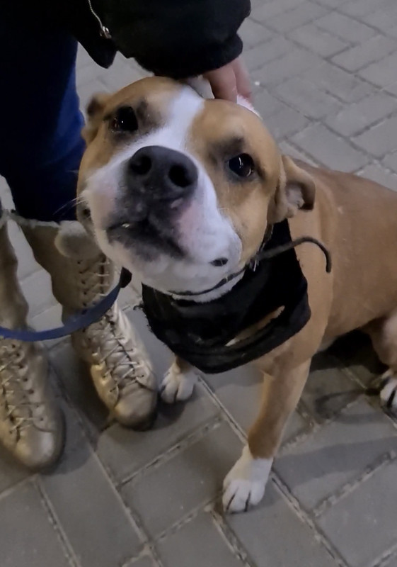 D7196DEC-28A8-4614-8AB3-2F4C74D220F2