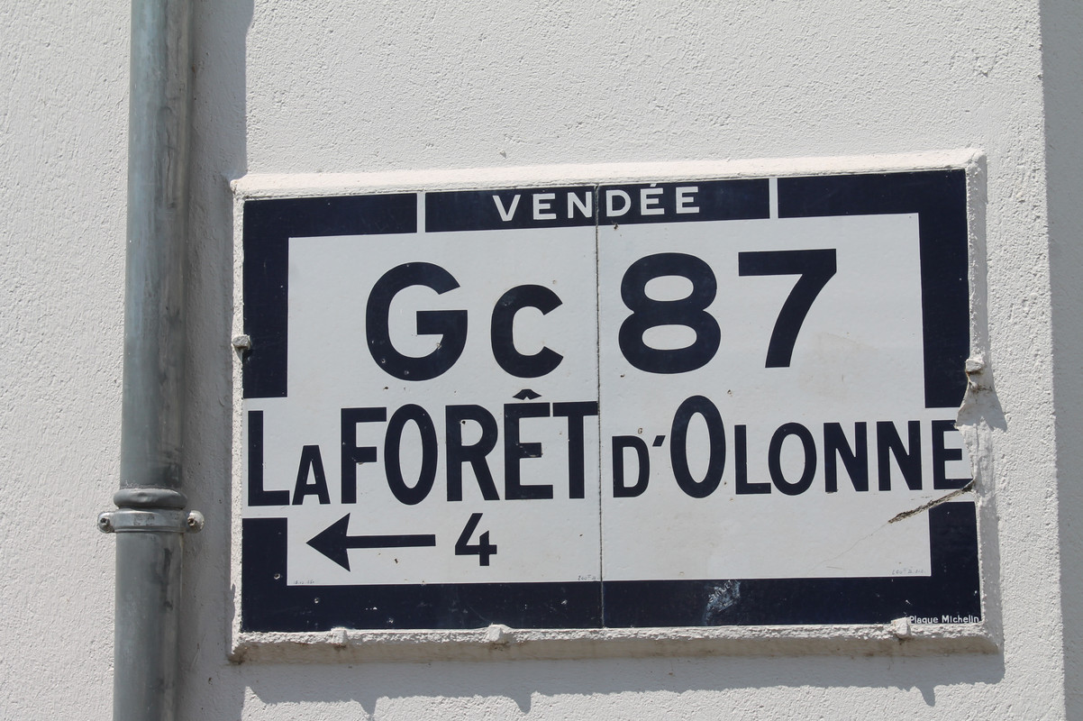 IMG_9361