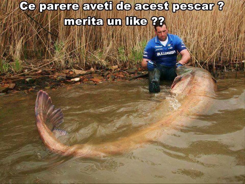 18921967_10154564845881500_1971769444823675045_n