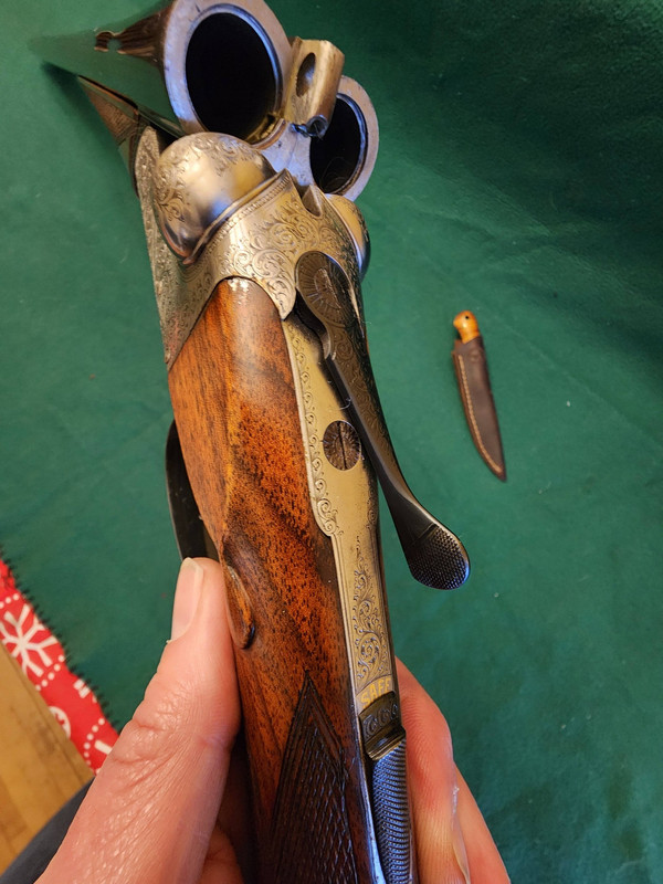 [Linked Image from i.postimg.cc]