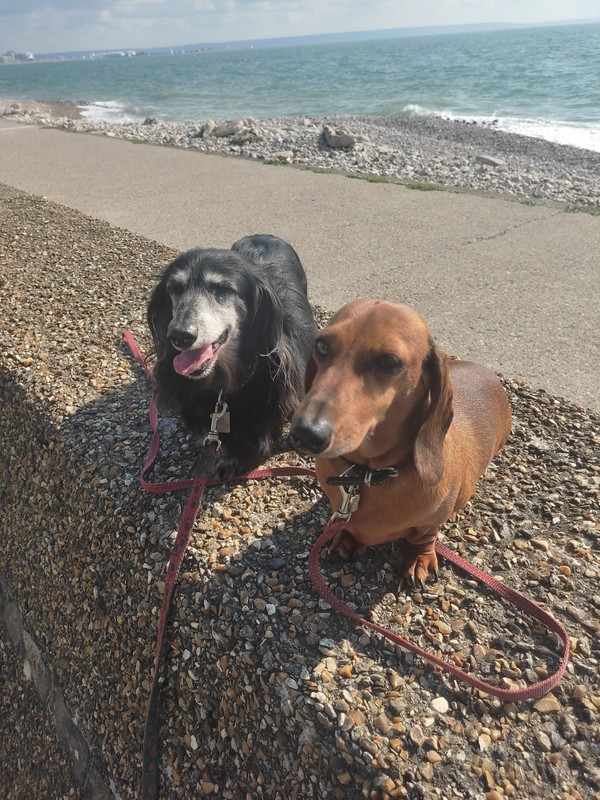 [Image: IMG-20240923-155258.jpg]