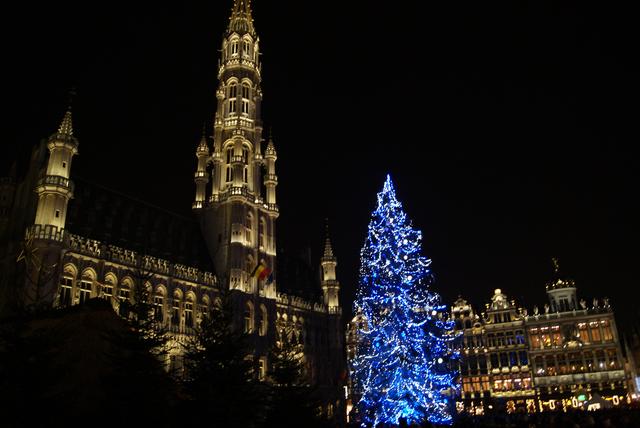 Bruselas, Gante y Brujas. Navidad 2018 - Blogs de Belgica - Llegada a Bruselas y fastuosa Grand Place (5)