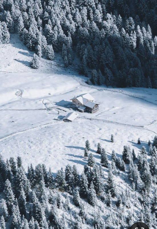 Screenshot_20231009_223001_Pinterest