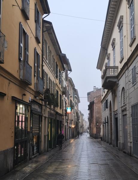 Milán-Turín-Génova-Pavía - Blogs de Italia - Pavía: la famosa batalla y sus torres medievales (40)