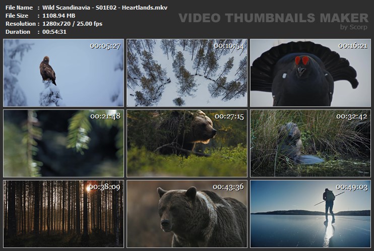 Wild Scandinavia - S01E02 - Heartlands.mkv
