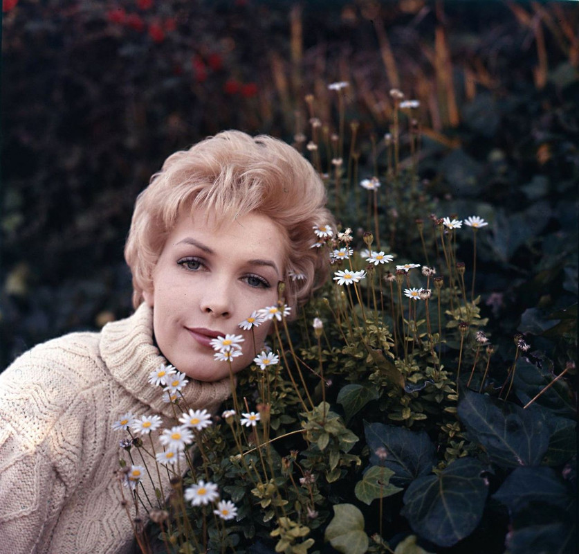 Stella_Stevens_b43