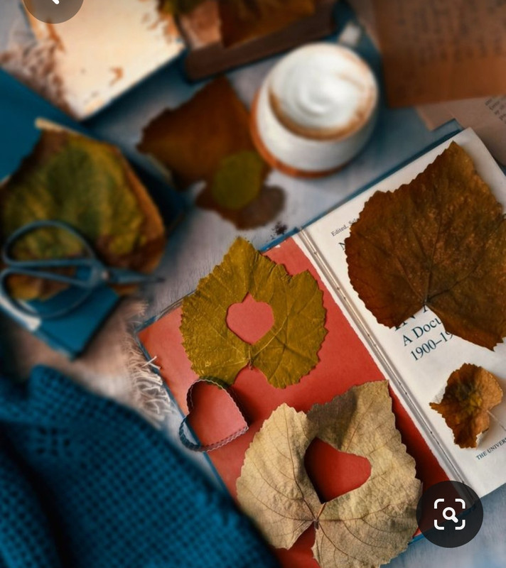 Screenshot_20230616_141648_Pinterest