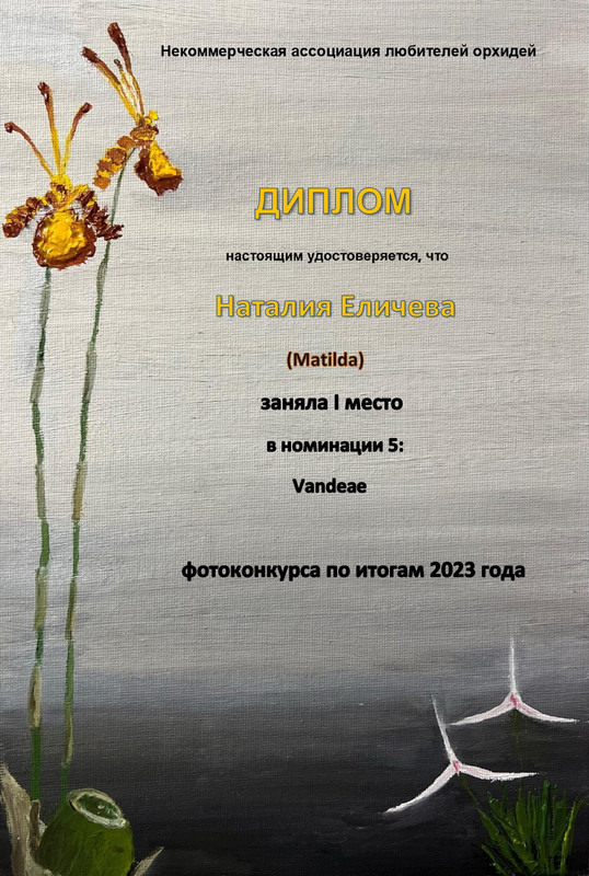 Диплом 5-1_page-0001