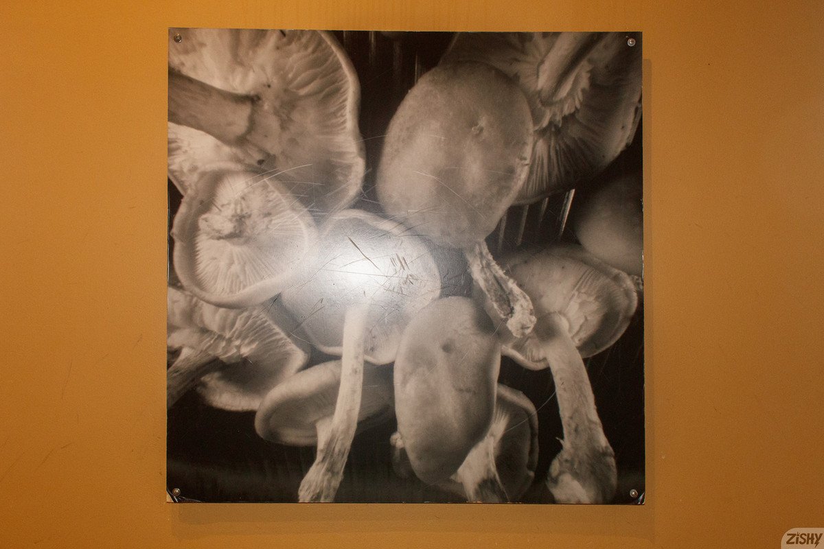 full_003_1008131018294113