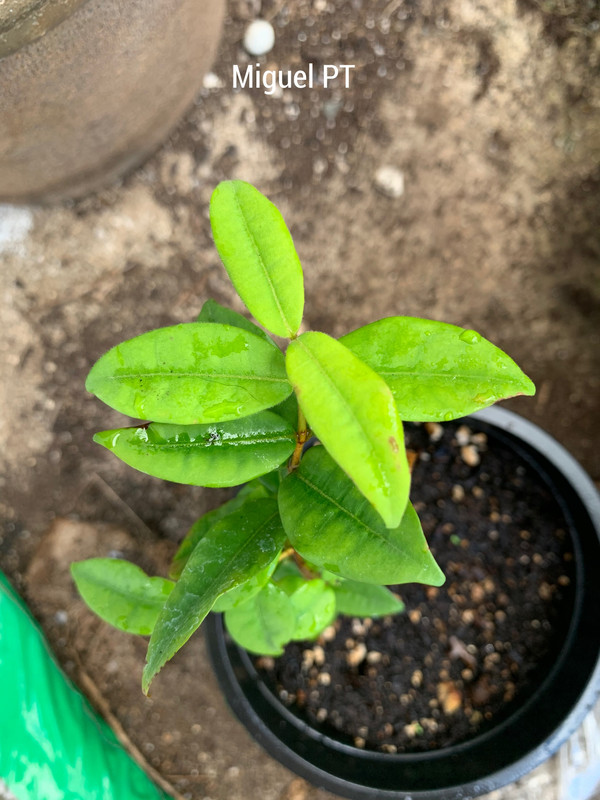 A2D2F0A5-0249-46BC-9262-361BA5882600