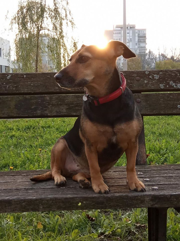 78333211_2322119484765435_4220397846173581312_o