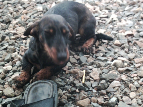 [Image: bretzel.jpg]