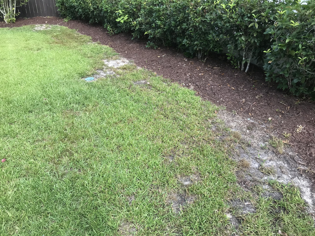 09D6231E-896D-4F75-90CC-8C6CD0EDD39B