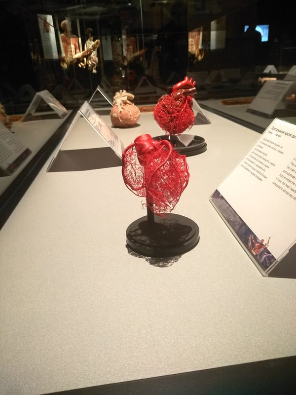 72525127_1395359277288977_8468307152606330880_n