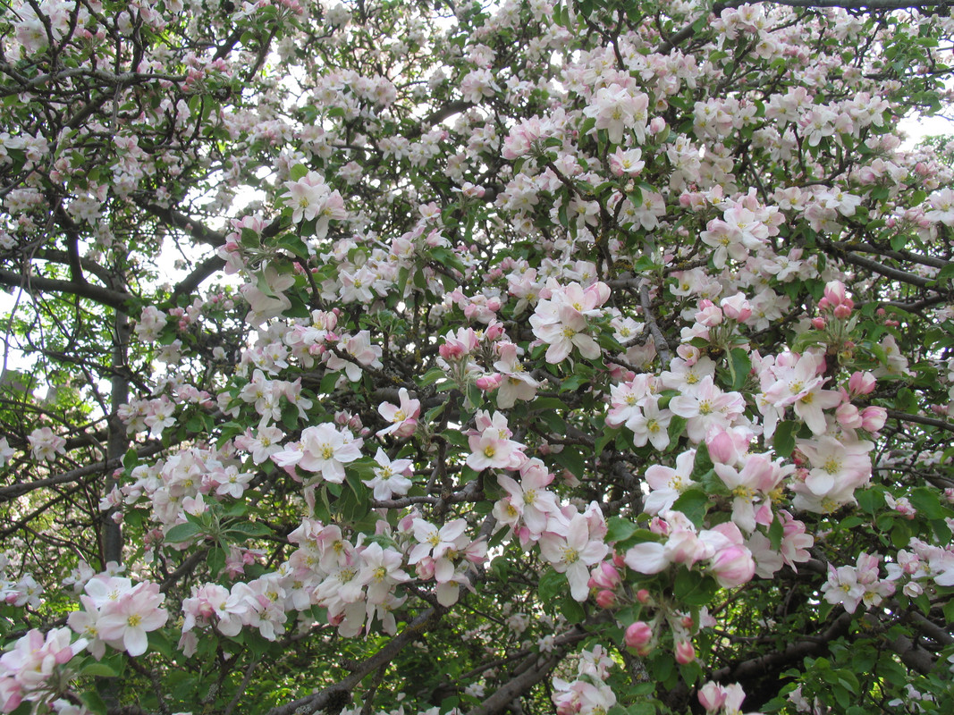 29 апреля 2024 011