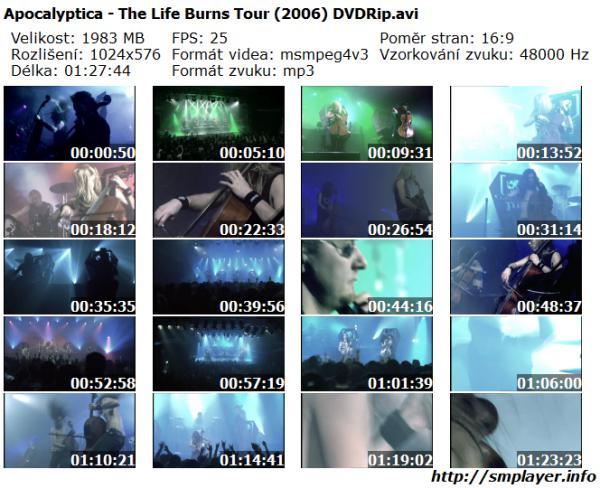 Apocalyptica - The Life Burns Tour (2006)